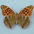 silver washed frit